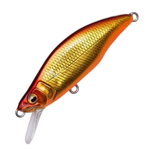 GH64 HUMPBACK(FS)(M キンオレ)